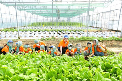 IALCERS thử làm Nông dân nhí